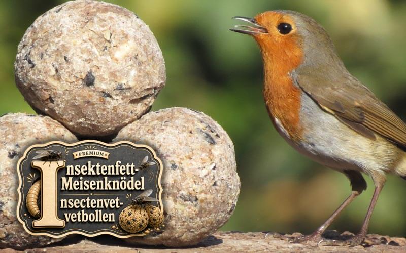 Premium Meisenknödel mit Insektenfett für Gartenvögel von Aniculis Premium Meisenknödel mit Insektenfett für Gartenvögel von Aniculis
