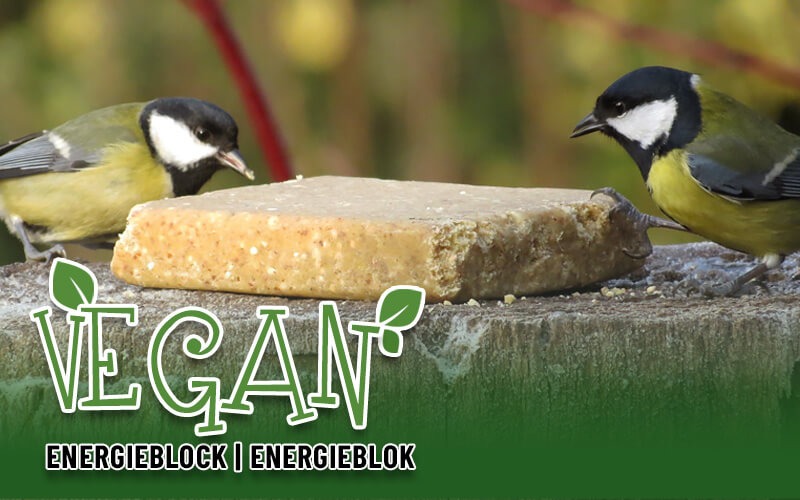 Vegetarischer Energieblock mit Erdnüssen von Aniculis Vegetarischer Energieblock mit Erdnüssen von Aniculis