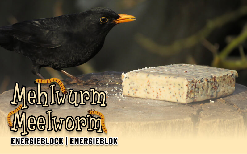 Mehlwurm Energieblock f&uuml;r Wildv&ouml;gel von Aniculis - Hochwertige Zutaten - und die V&ouml;gel lieben sie