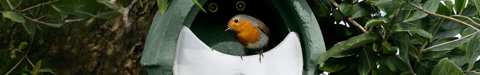 Informationen zu Nistkästen – Damit Dein Vogelhaus auch wirklich genutzt wird Informationen zu Nistkästen – Damit Dein Vogelhaus auch wirklich genutzt wird