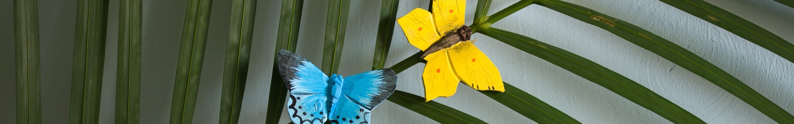 DecoButterflies - Schmetterlinge, die garantiert sitzen bleiben - Alles für Vögel DecoButterflies - Schmetterlinge, die garantiert sitzen bleiben - Alles für Vögel