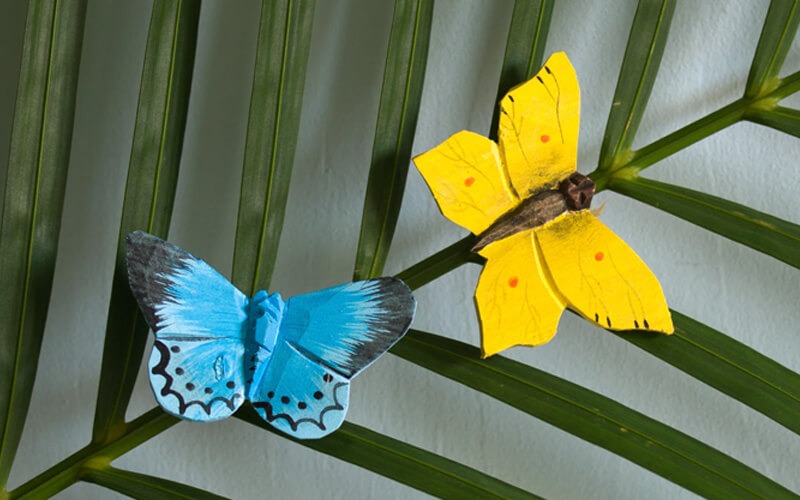 DecoButterflies - Schmetterlinge, die garantiert sitzen bleiben - Alles für Vögel DecoButterflies - Schmetterlinge, die garantiert sitzen bleiben - Alles für Vögel