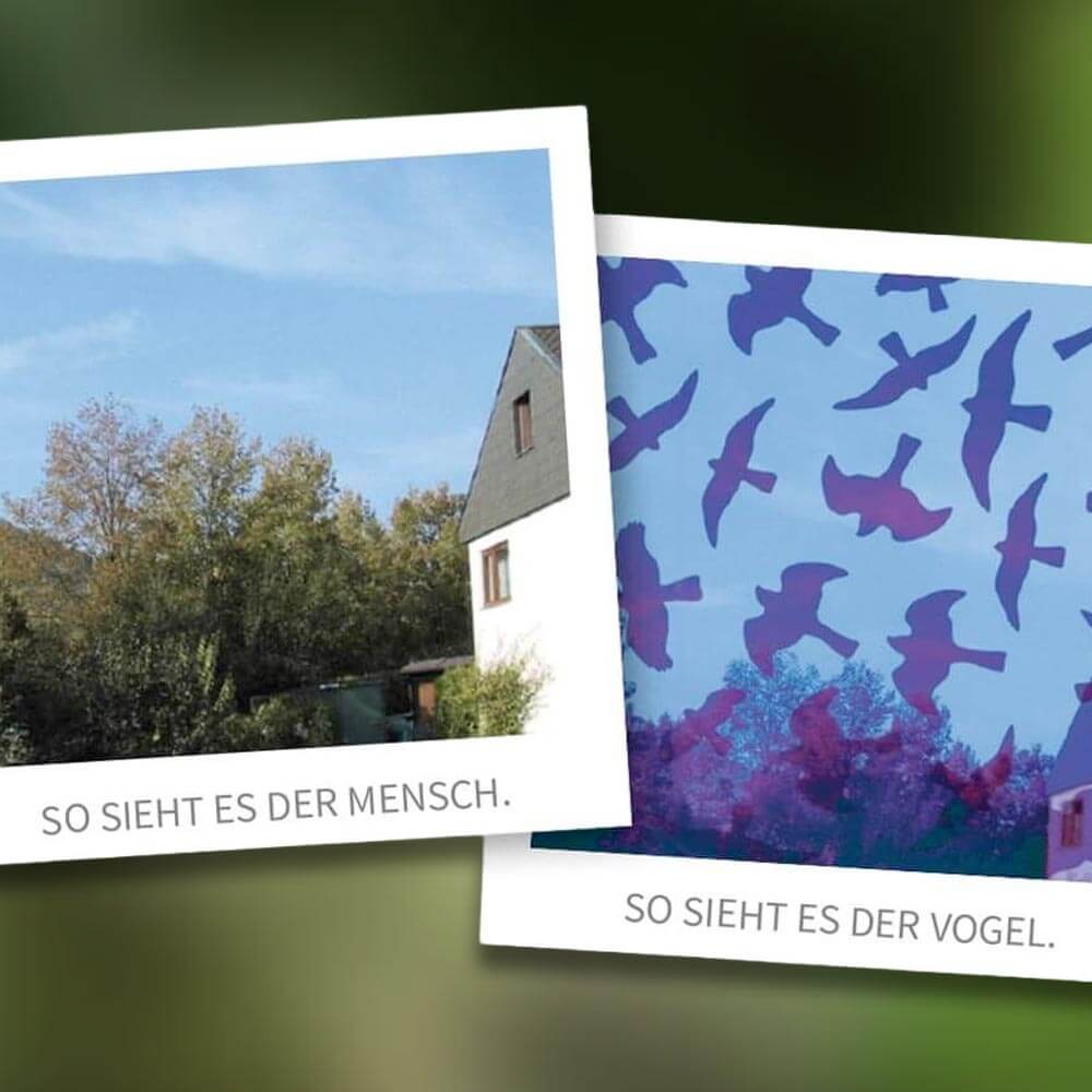 Vogelschlagproblematik - BirdSticker und BirdPen von Dr. Kolbe - Alles f&uuml;r V&ouml;gel