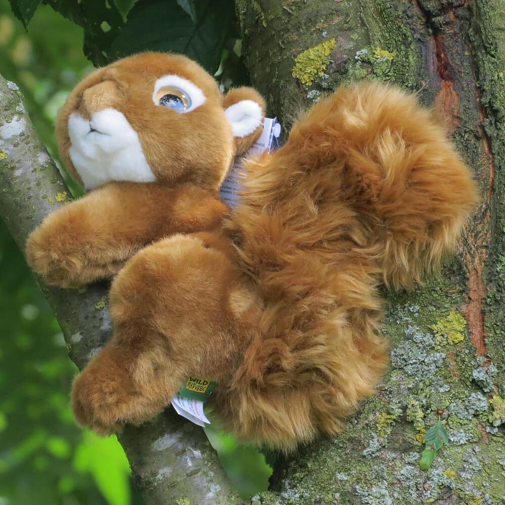Tolle Naturschutzprodukte speziell f&uuml;r Kinder - Alles f&uuml;r V&ouml;gel