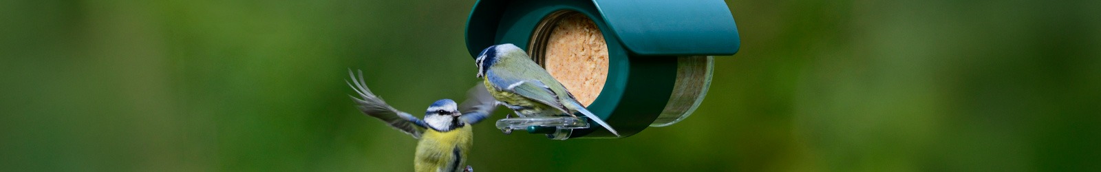 Flutter Butter - Für den Brotaufstrich… aber für Vögel - Kaufe bei Alles für Vögel Flutter Butter - Für den Brotaufstrich… aber für Vögel - Kaufe bei Alles für Vögel