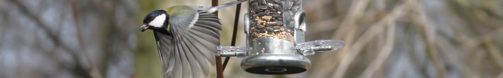 Ring-Pull - Endlich Futtersäulen ohne Gefummel - Bestelle bei Alles für Vögel Ring-Pull - Endlich Futtersäulen ohne Gefummel - Bestelle bei Alles für Vögel