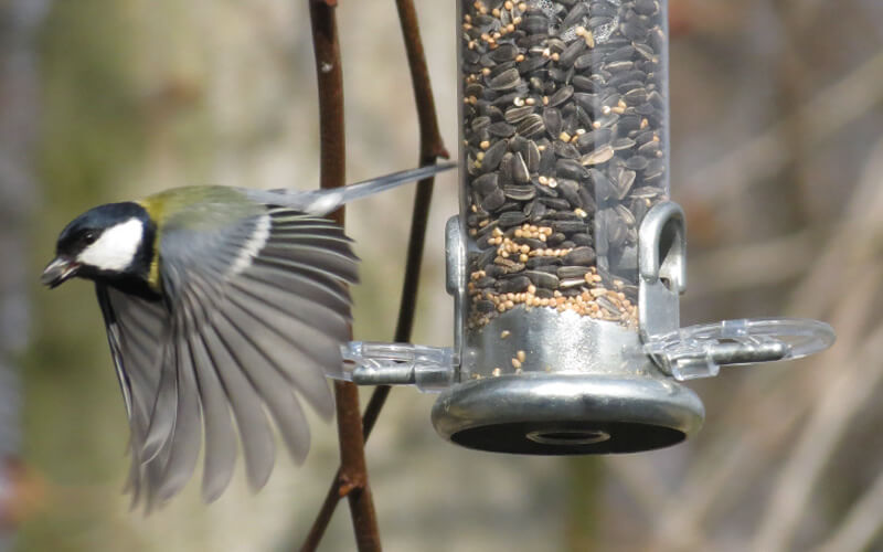 Ring-Pull - Endlich Futtersäulen ohne Gefummel - Bestelle bei Alles für Vögel Ring-Pull - Endlich Futtersäulen ohne Gefummel - Bestelle bei Alles für Vögel