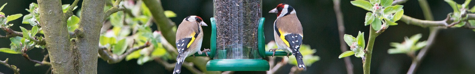 The One - Eine Futtersäule für Wildvögel, die’s einfach macht - Alles für Vögel The One - Eine Futtersäule für Wildvögel, die’s einfach macht - Alles für Vögel