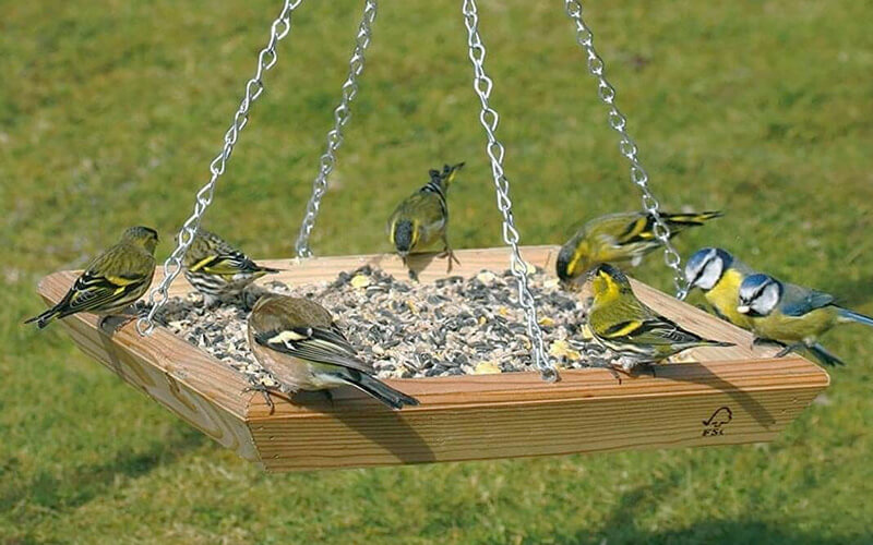 Futtertische für Vögel kaufen - Offene Futterplätze für Garten & Balkon - Alles für Vögel Futtertische für Vögel kaufen - Offene Futterplätze für Garten & Balkon - Alles für Vögel