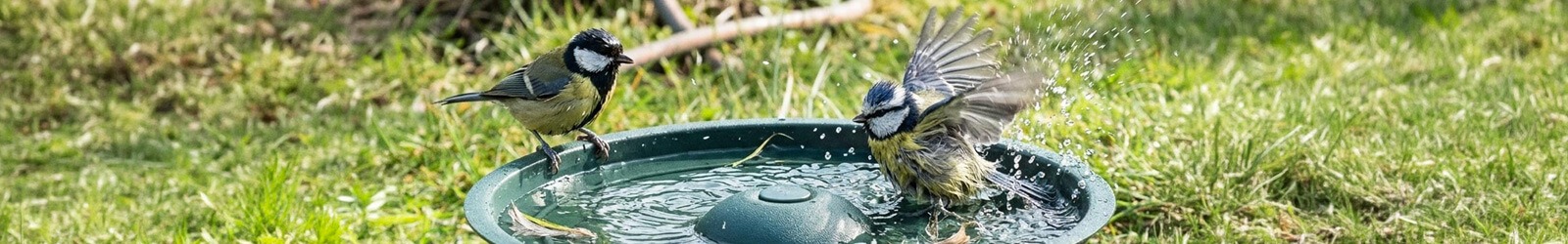 Wassertränken für Wildvögel - Die wohl beliebteste Bar im Garten - Alles für Vögel Wassertränken für Wildvögel - Die wohl beliebteste Bar im Garten - Alles für Vögel