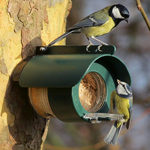 Spezielle Halter für Vogel-Erdnussbutter - Kaufe bei Alles für Vögel